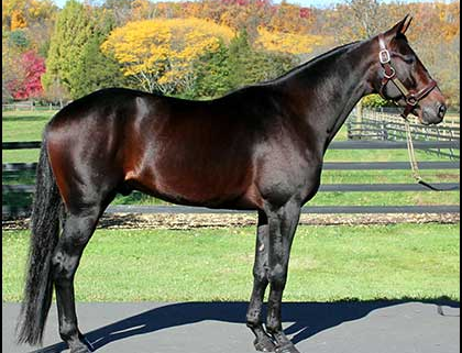 De første afkom efter In Range godkendt i USA