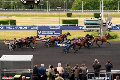 Fransk travsports nye super-vallak