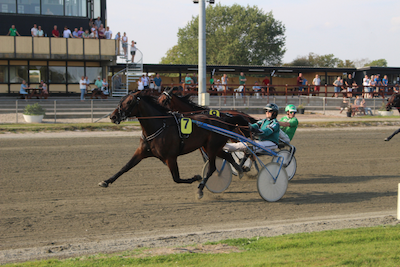 Kim Kærslund udvider stalden