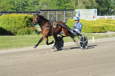 V65 i Aarhus uden store favoritter