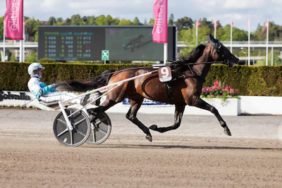 Oslo Grand Prix-vinder med danske aner