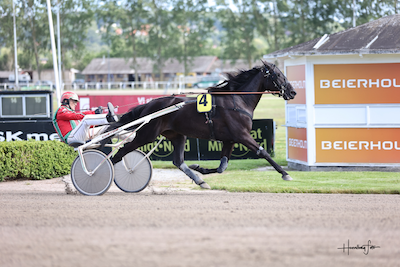 De kvalificerede sig til Grand Circle 3 års Hoppe Championat