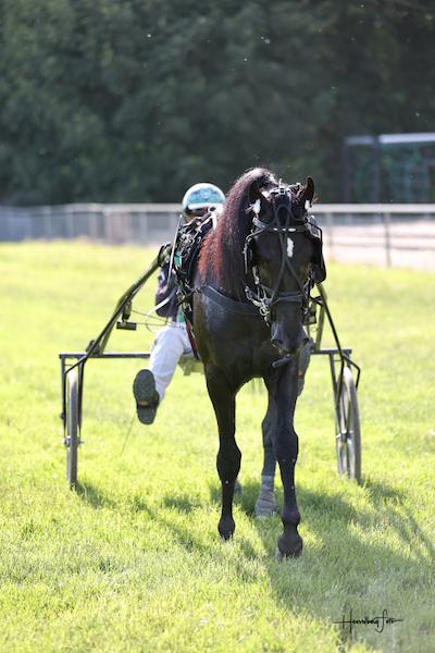 De kvalificerede sig til Grand Circle 3 års Championat