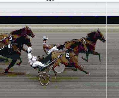 Hvad har Kalule Simoni og Mateo Wynn tilfælles?