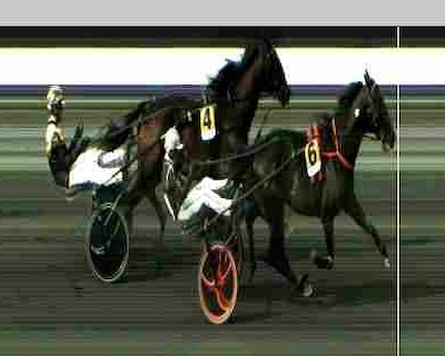 Hustle Rain løb 1.08.6 – men det var ikke nok