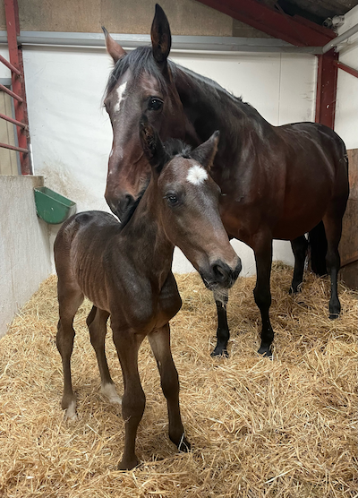 Father Patrick Føl i Sæby