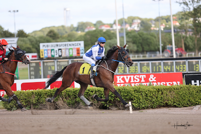 Aalborg: Ingen løste V5-spillet, da Tour Eiffel svigtede