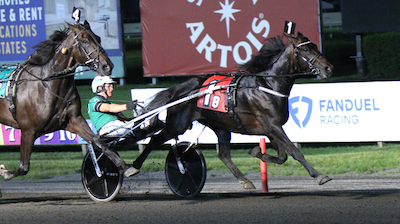 Get a Wish skuffede som favorit på The Meadowlands