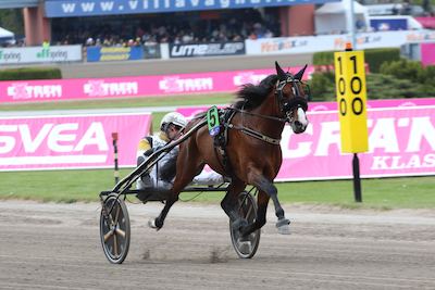 Danske Wise Guy kan vinde 1.5 mio. kroner i eftermiddag