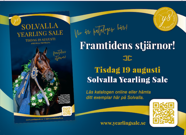 10% ned på Solvalla-auktionen