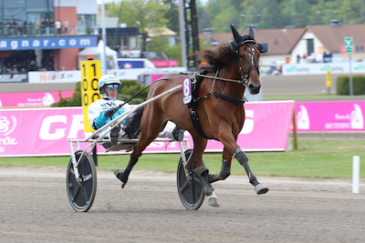 V86 på Solvalla med topheste