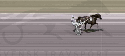 Kentucky SH suveræn vinder på Halmstad