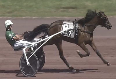 USA: Ny sejr til dansk 2-åring