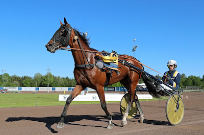 Feltet til Hugo Åbergs Memorial tager form