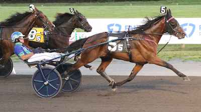 USA: Dansk opdrættet 2-års vinder på The Meadowlands