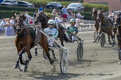 Blot fem heste til start i Jubileumspokalen i Skive
