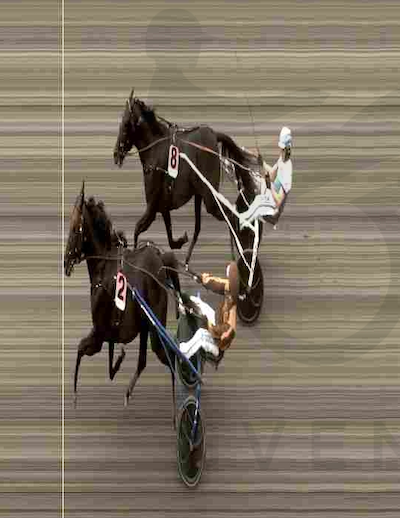 Gio Cash vandt i 1.08.5