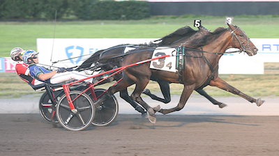 Hambletonian-hestene dystede i nat