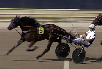 Italiensk 3-åring købt til Jeppe Juel-stalden