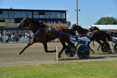 Falster: Kazio mod Henrik Will