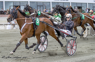 V86: Gode danske chancer