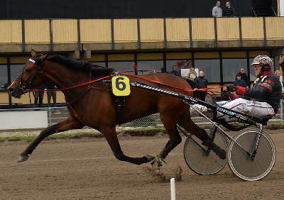 Falster-træner kan vinde Bornholmsk mesterskab