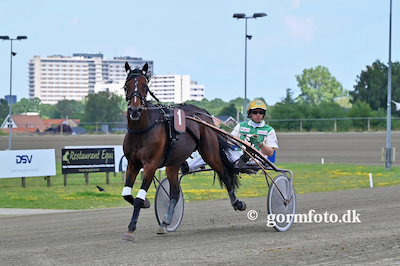 Jeppe Juels derbykandidat Kermit sæsondebuterer