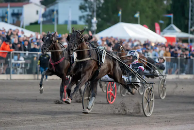 Kilimanjaro Face vandt Stosprintern