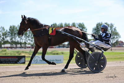 Know Your Shadow klar til at starte