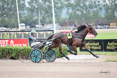 Tre sejre til Korfitsen-stalden