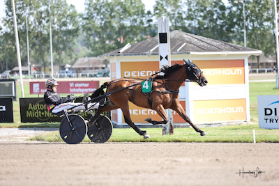 Onsdag: 550.000 kroner i V65-puljen på Charlottenlund