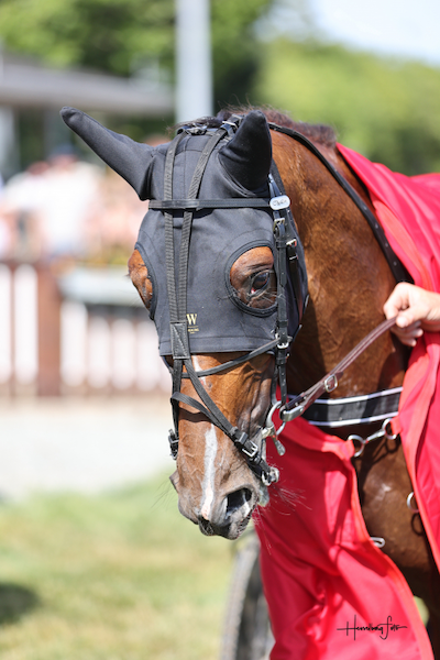 Lust for Life havde det nemt