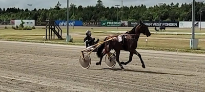 De første danske 2-åringer  godkendt i Skive