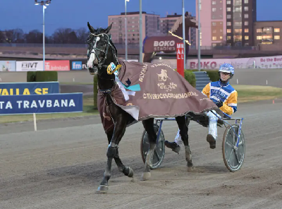 Åbergs Memorial: Kortene blev godt blandet