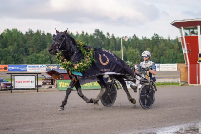 V75: Point of Perfect på sprint