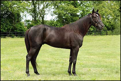 Ready Cash-blodet – også med succes i USA