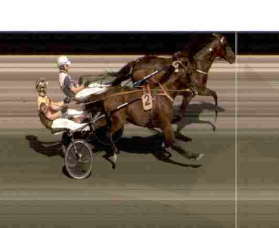 Djuse-brødre dominerede V75-løbene