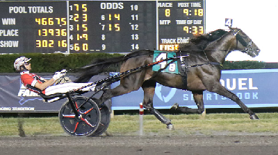 USA: Alligevel ingen avl for Super Chapter