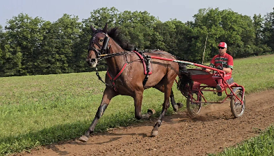 Første trænersejr til Rene Sejthen i USA