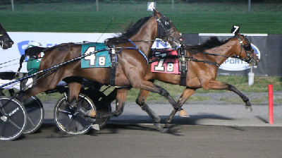 USA: Fjerde sejr i træk til danskfødt 2-åring