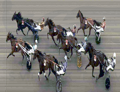 Svenske topkuske udelukket