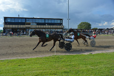 Dansk V65 på Falster