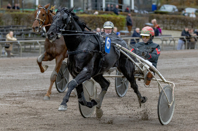 Aarhus: 75 år – og still going strong