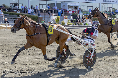 Hestesportens Galla: Var det de rigtige vindere?