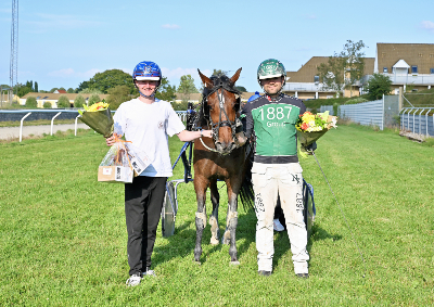 DM-professionelle: Stillingen efter 6. afdelinger