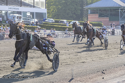 Programsider til Hoppe Derbydagen