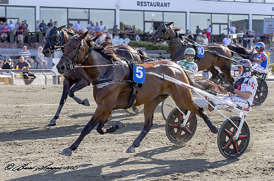 Derbyprøverne: De kvalificerede sig