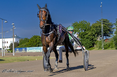 King Legend til start på Vincennes