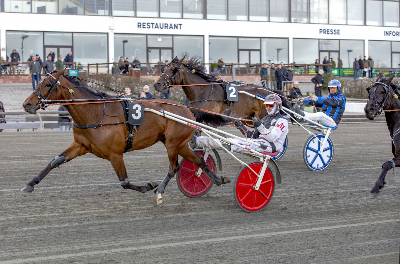Gammelt blod i Hoppe Derby: Kleopatra SF