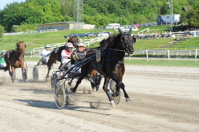 Gammel dansk Hoppe Derby: Kiwi Shadow ( nu rigtigt foto)